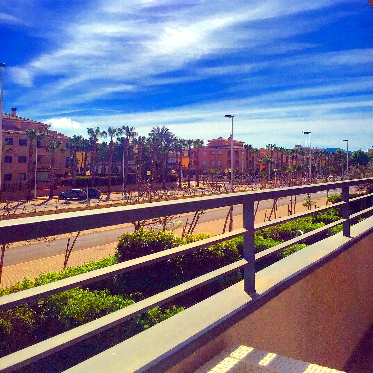 Palm-lined avenue of apartment residences behind the Arenal