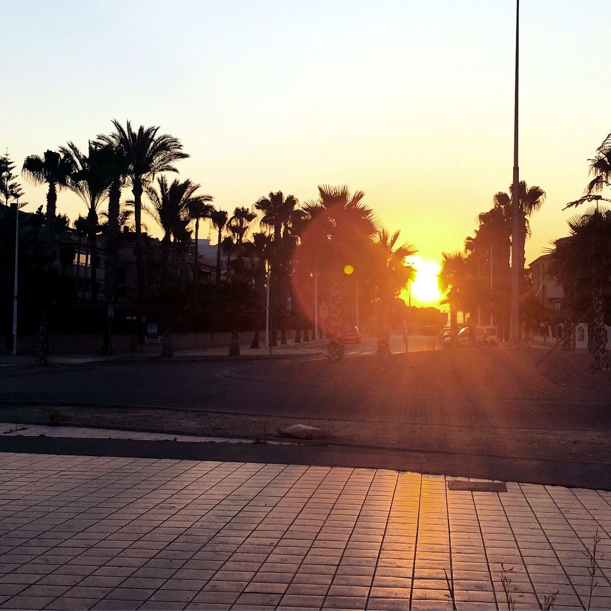 Golden-hour light on a palm-lined street near Javea’s Arenal beach area