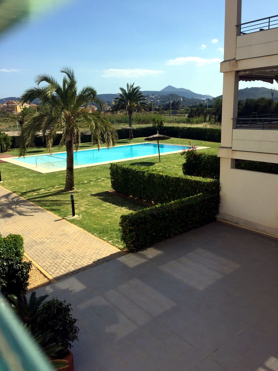 A residencial community pool framed by palms and lawns