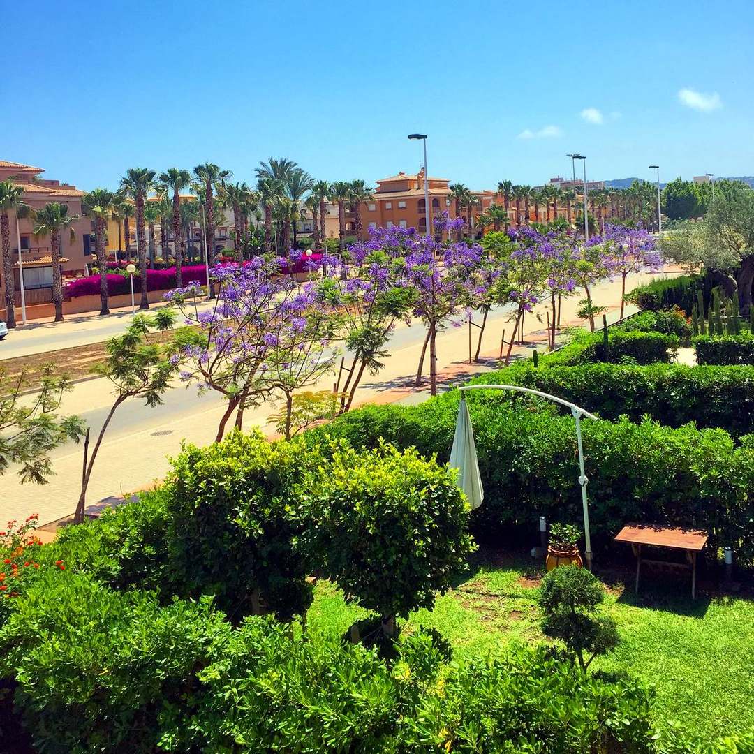 Jacaranda and lush gardens along the Arenal’s green avenues