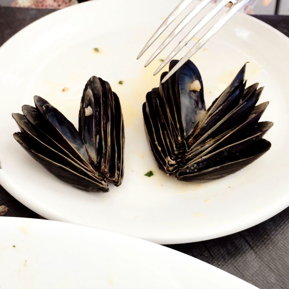 A plate of Valencian clóchinas — small local mussels