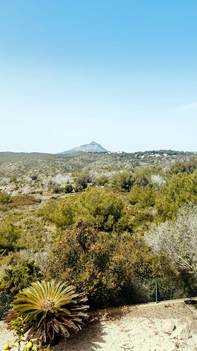 Coastal scrub on the Nao headland with Montgó across the valley