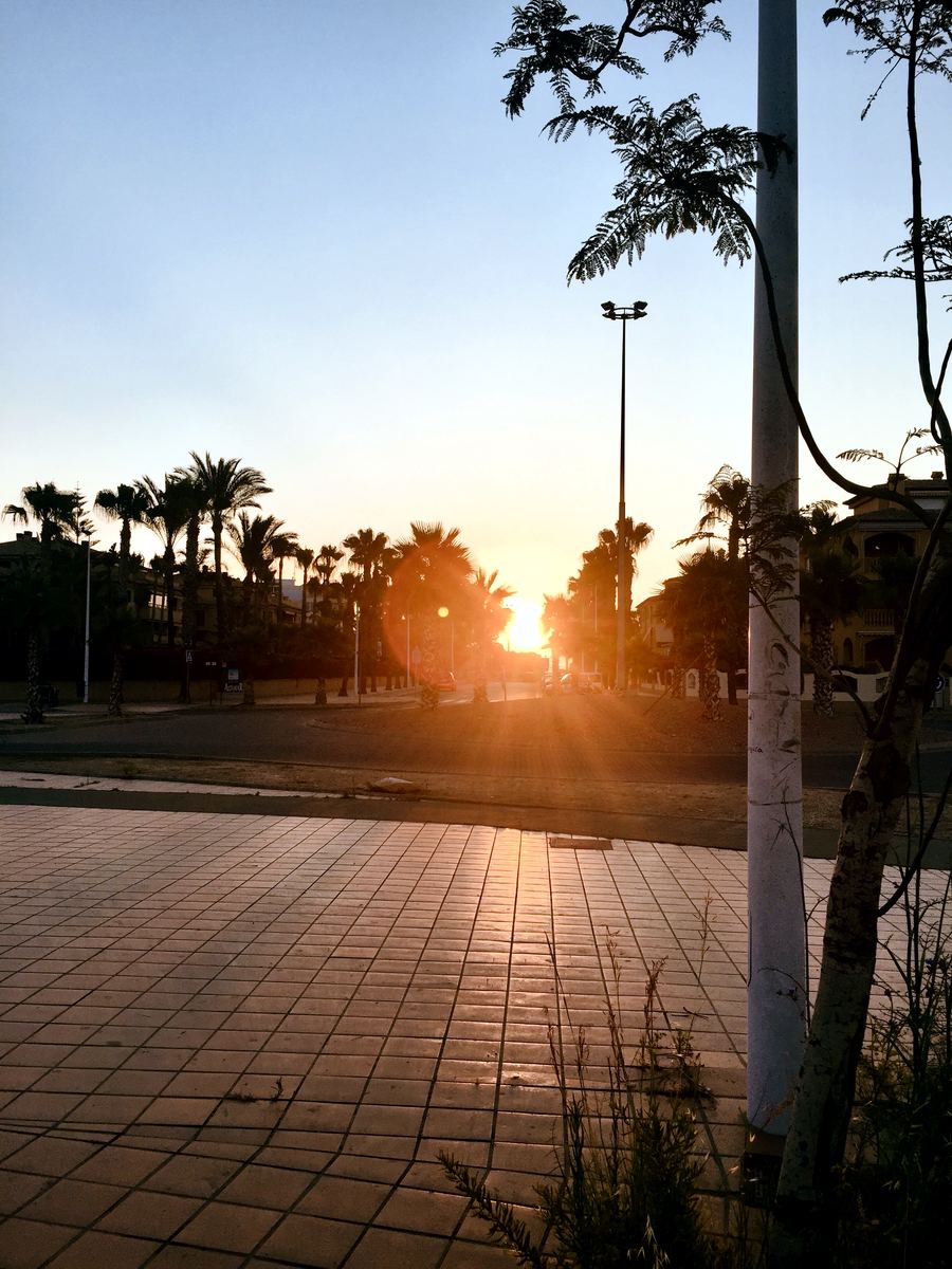 Low sun flaring through the palms on the Arenal promenade