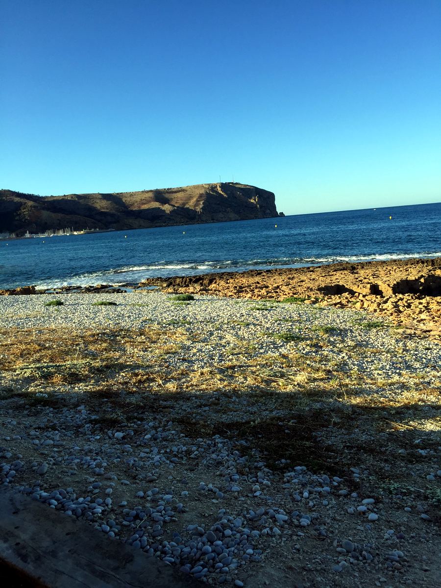 Dried posidonia banks on the shoreline — the sign of clean, seagrass-rich water