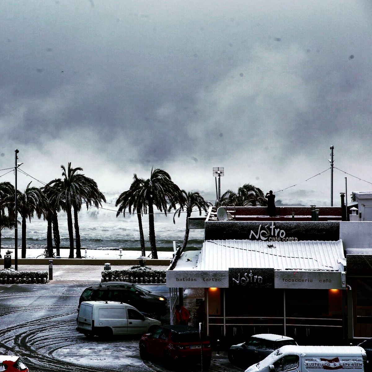 Snow dusting the palms of the Arenal seafront in January 2017