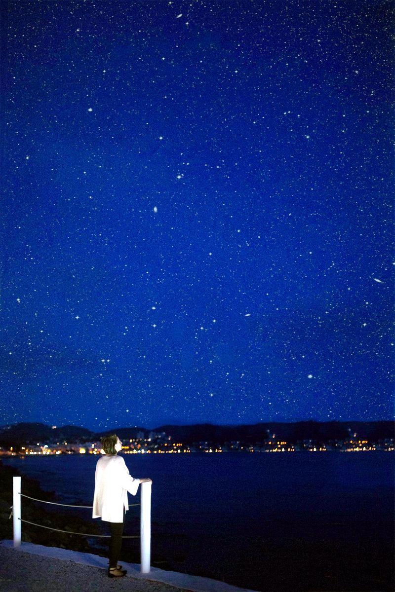 A star-filled night sky above the faint glow of town lights